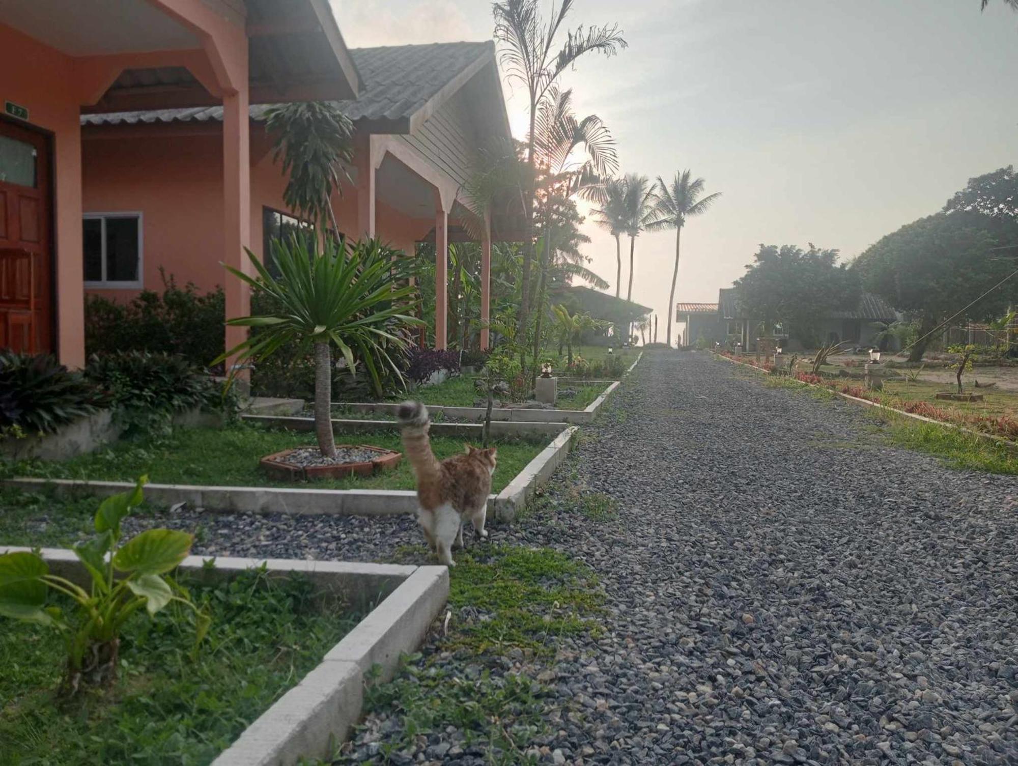 Scandinavian Beach Resort Ko Lanta Dış mekan fotoğraf
