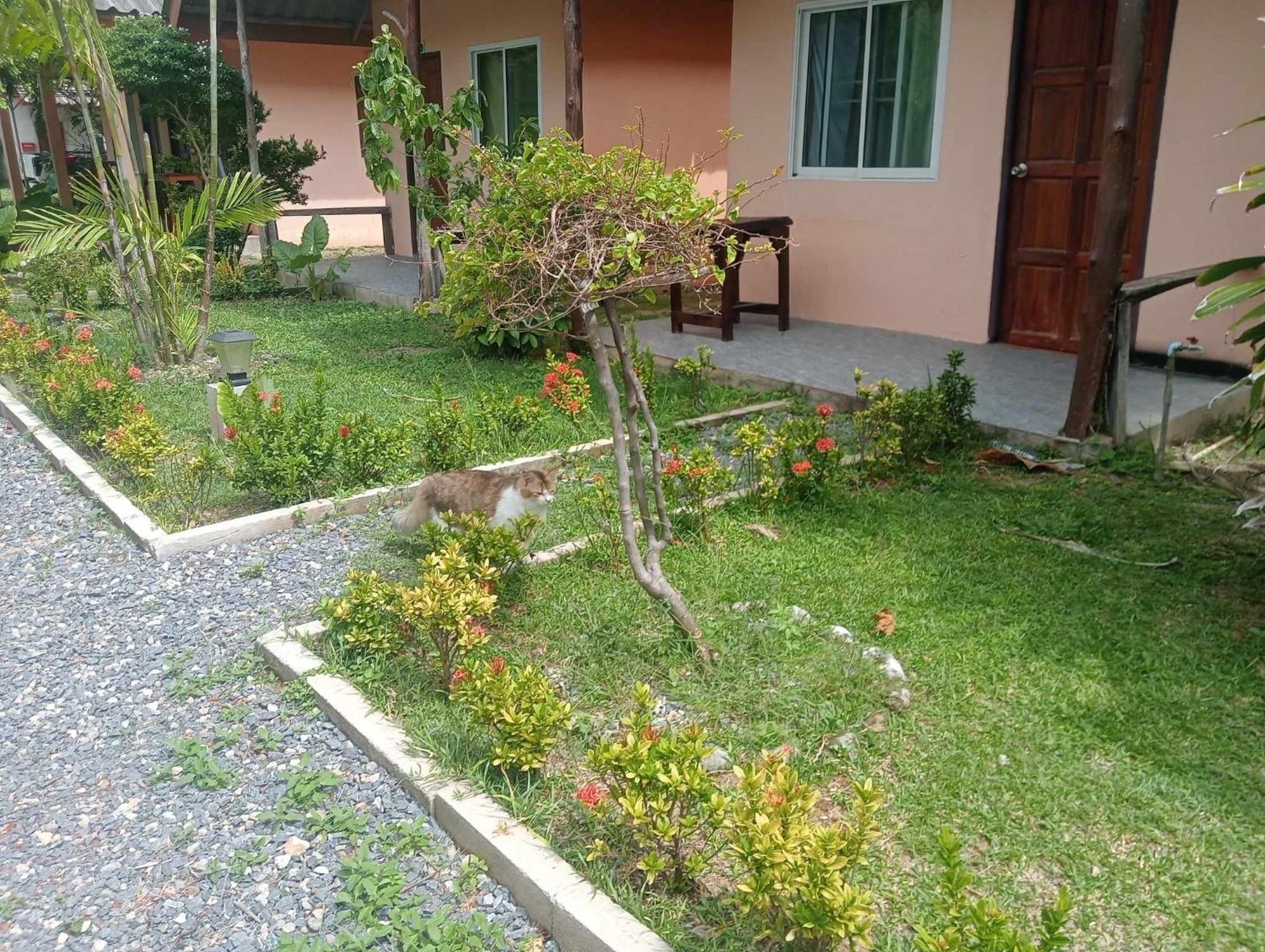 Scandinavian Beach Resort Ko Lanta Dış mekan fotoğraf